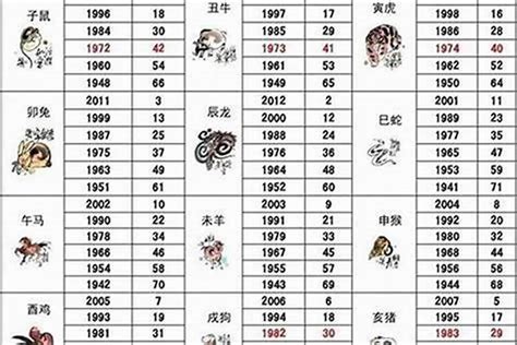 1956年生肖|1956年属什么生肖 1956年阳历农历出生的人命运